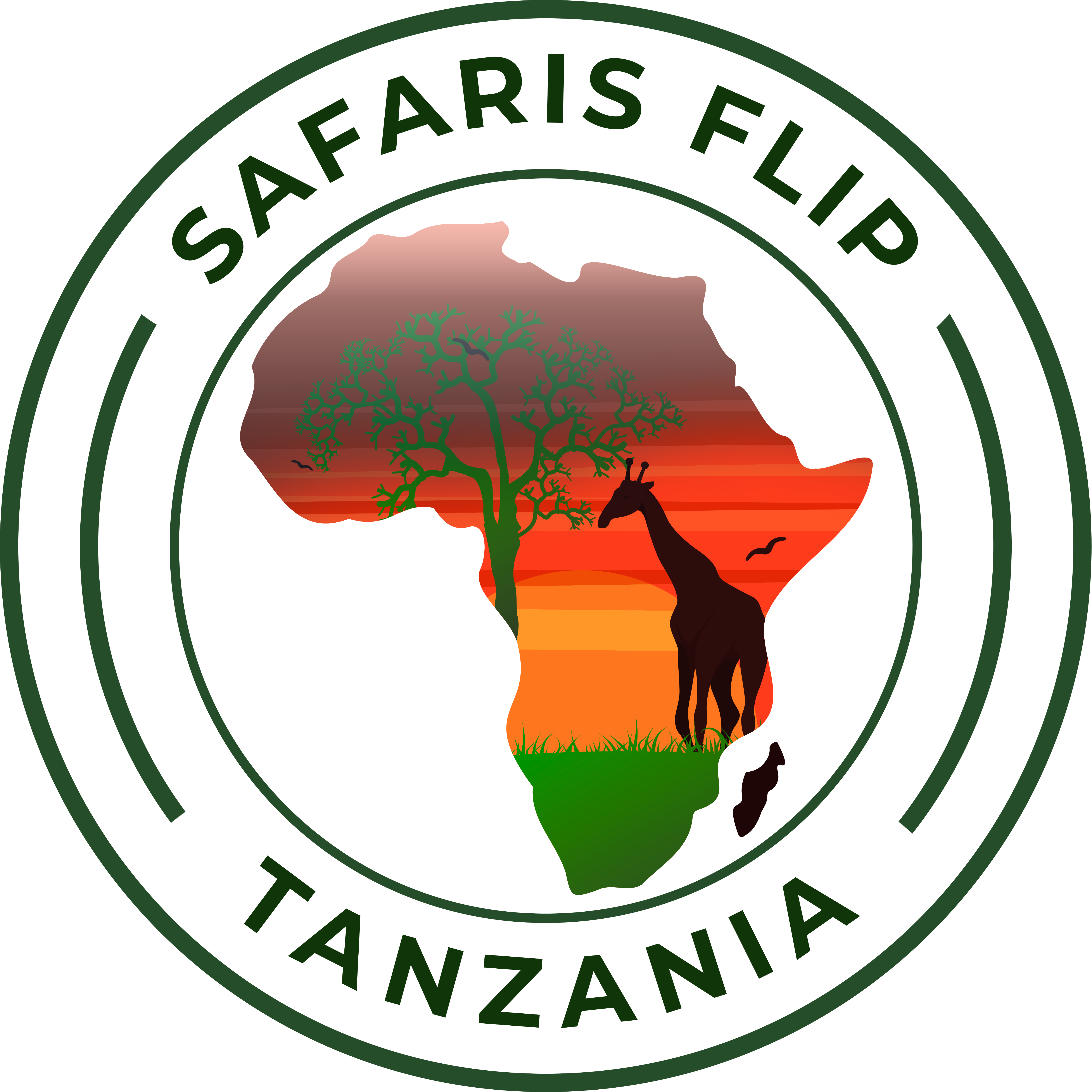 Safaris Flip Tanzania